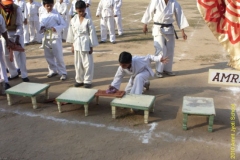 Amrit Jyoti School - Annual Sports Day 2010