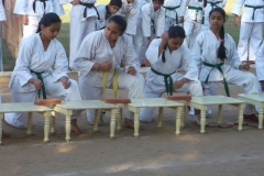 Amrit Jyoti School - Annual Sports Day 2016