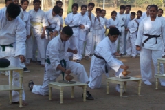 Amrit Jyoti School - Annual Sports Day 2016