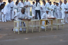 Amrit Jyoti School - Annual Sports Day 2016