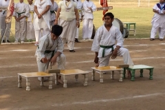 Amrit Jyoti School - Annual Sports Day 2017