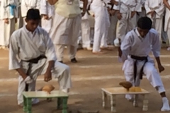 Amrit Jyoti School - Annual Sports Day 2017