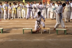 Amrit Jyoti School - Annual Sports Day 2017