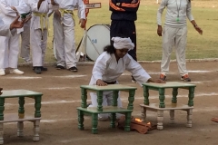 Amrit Jyoti School - Annual Sports Day 2017