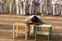 Amrit Jyoti School - Annual Sports Day 2017