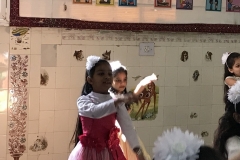 Amrit Jyoti School - Cultural Programme at Ambawadi 2018