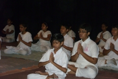 Amrit Jyoti School - Independence Day 2014