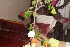 Amrit Jyoti School - Teachers Day 2012